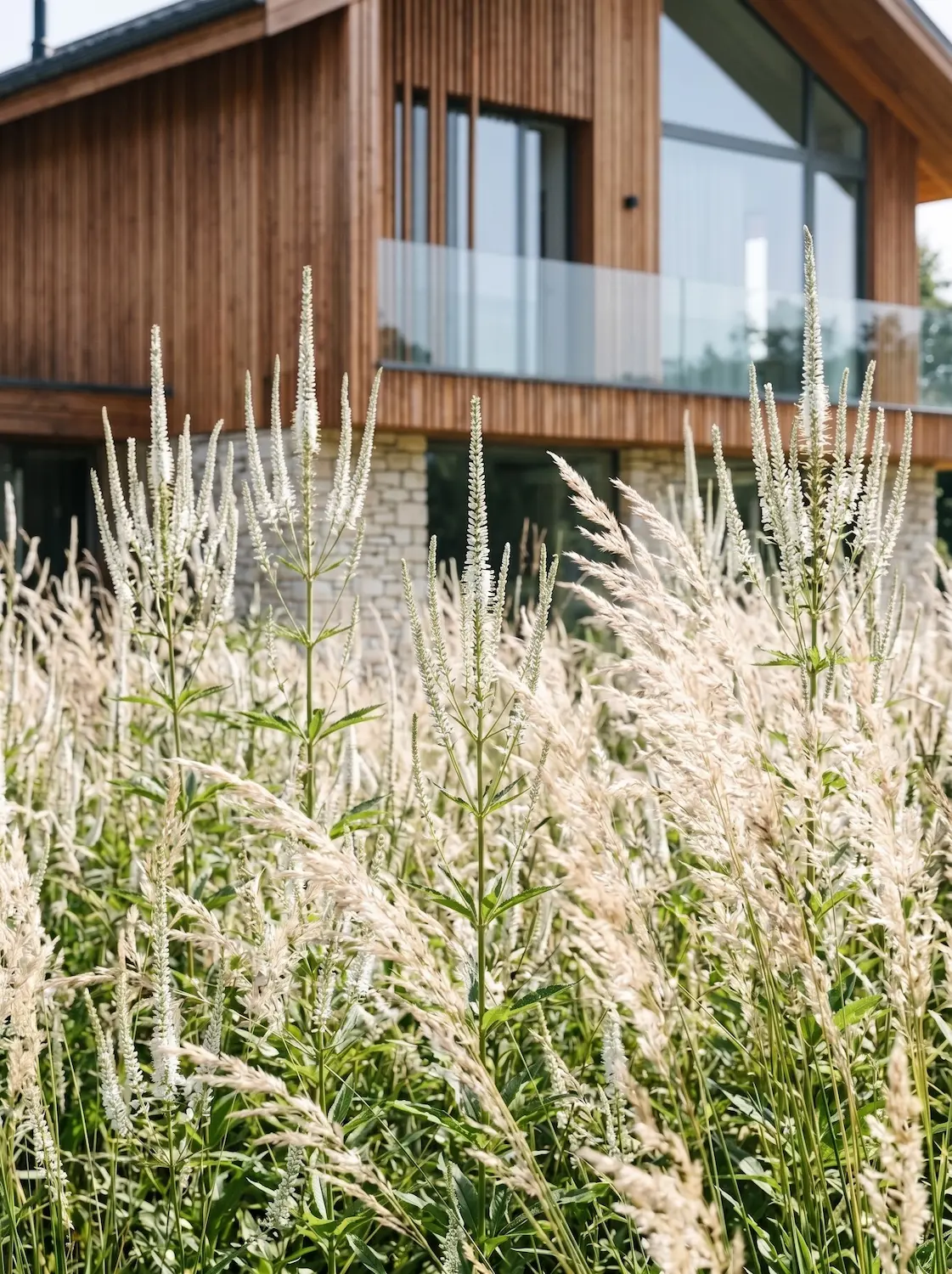 Velo vertical de Veronicastrum virginicum y Calamagrostis | jardinesconestiloes Velo Vertical De Veronicastrum Virginicum Y Calamagrostis La Arquitectura Del Otoño Rudbeckia Equinácea Y Gramíneas Sobre Grava