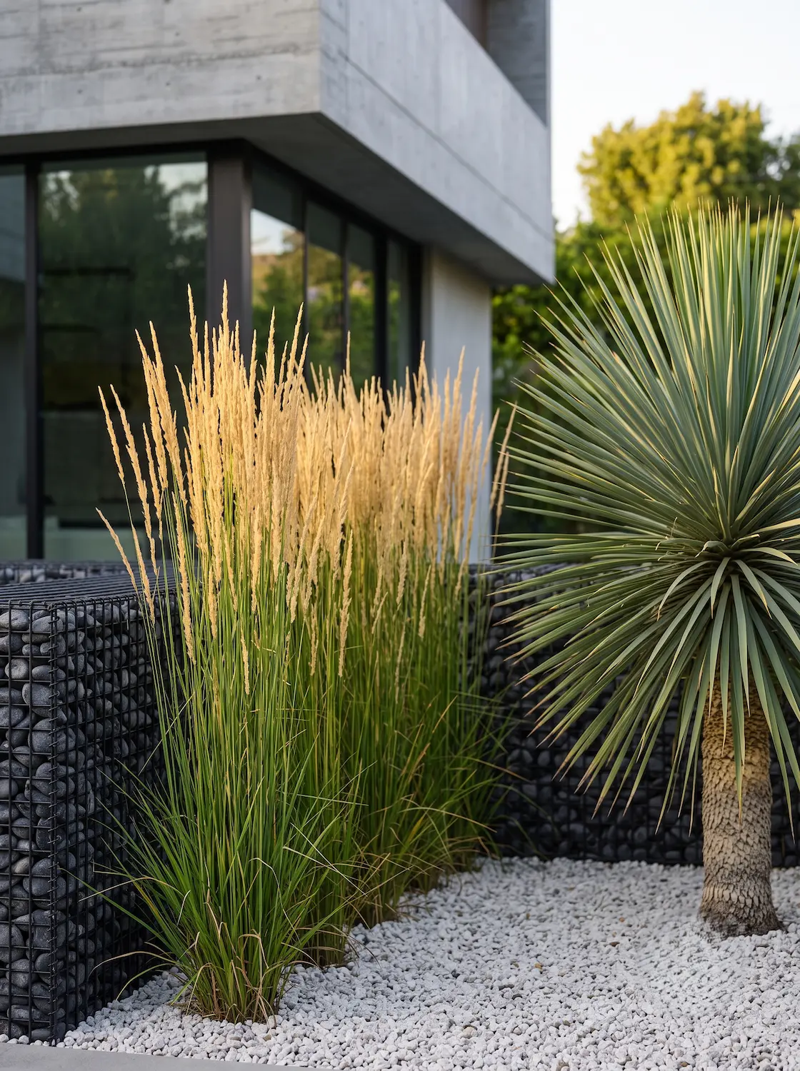 gavion con calamagrostis y yuca | jardinesconestiloes Gavion Con Calamagrostis Y Yuca Paisajismo De Vanguardia El Contraste De Gaviones Equisetum Y Calamagrostis