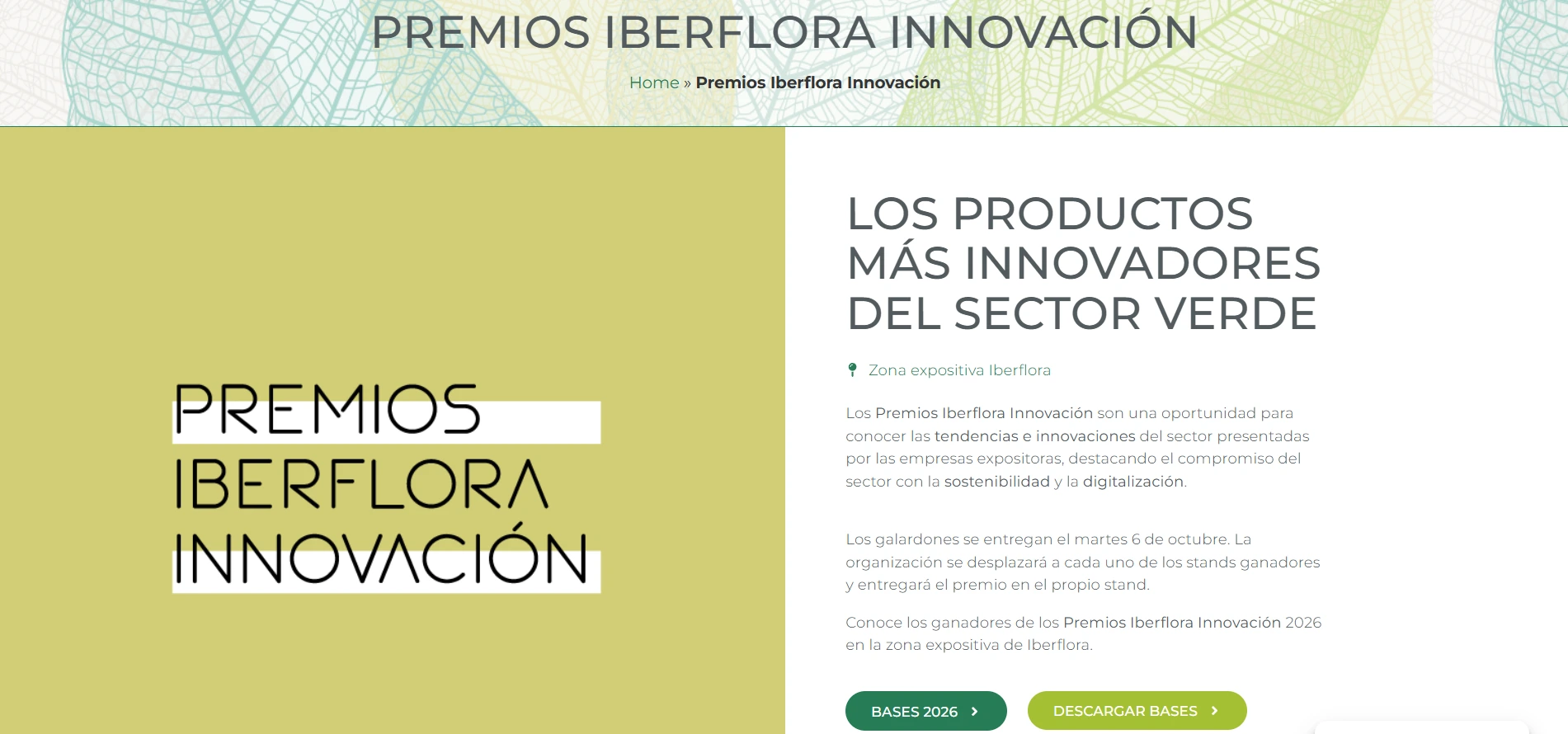 Premios a La Innovación Iberflora 2026 Iberflora 2026 Historia Peso Económico Y Los Retos Del Sector En Su Edición Más Decisiva