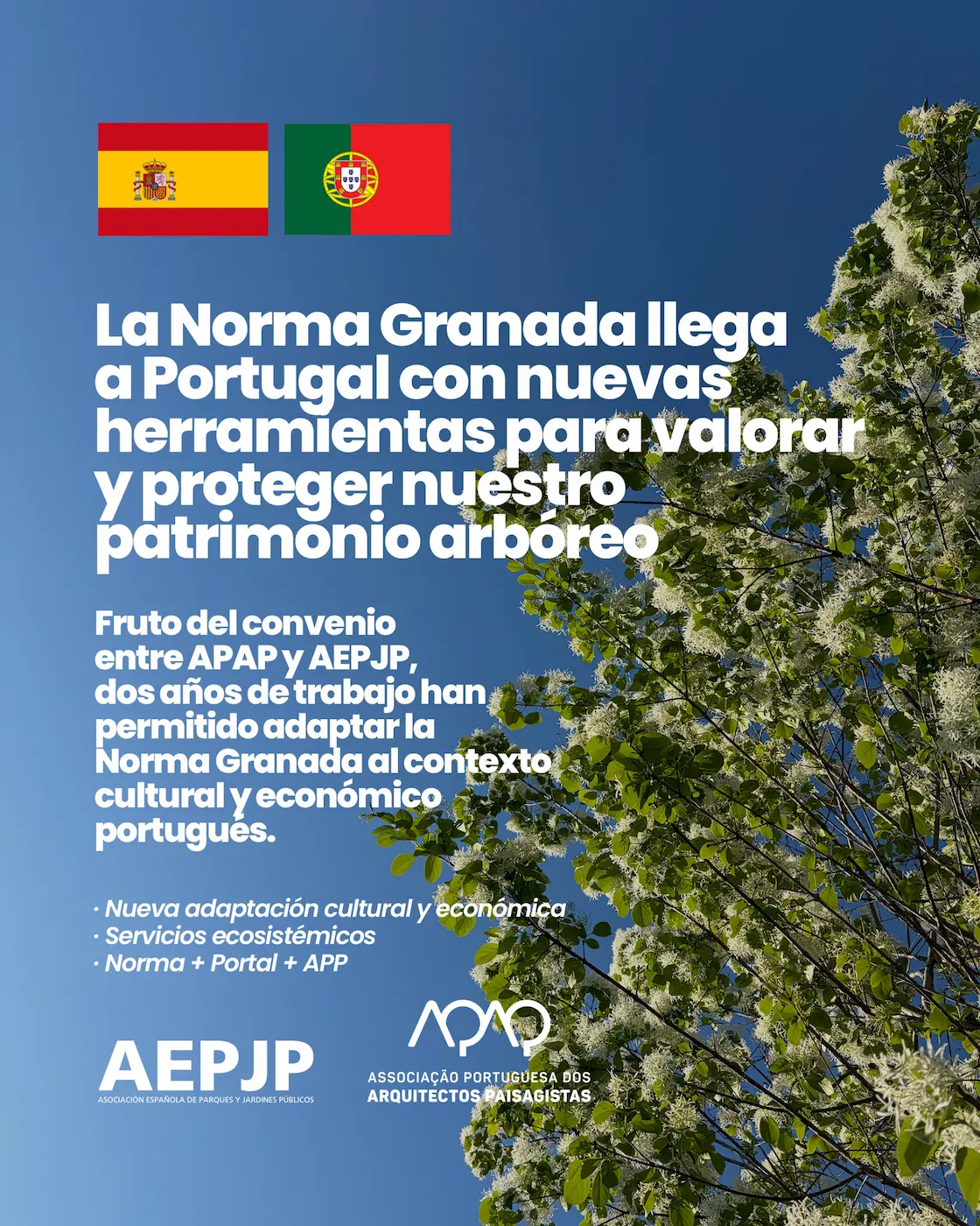 Norma Granada Portugal El Valor Del Tiempo Portugal Abraza La Nueva Norma Granada